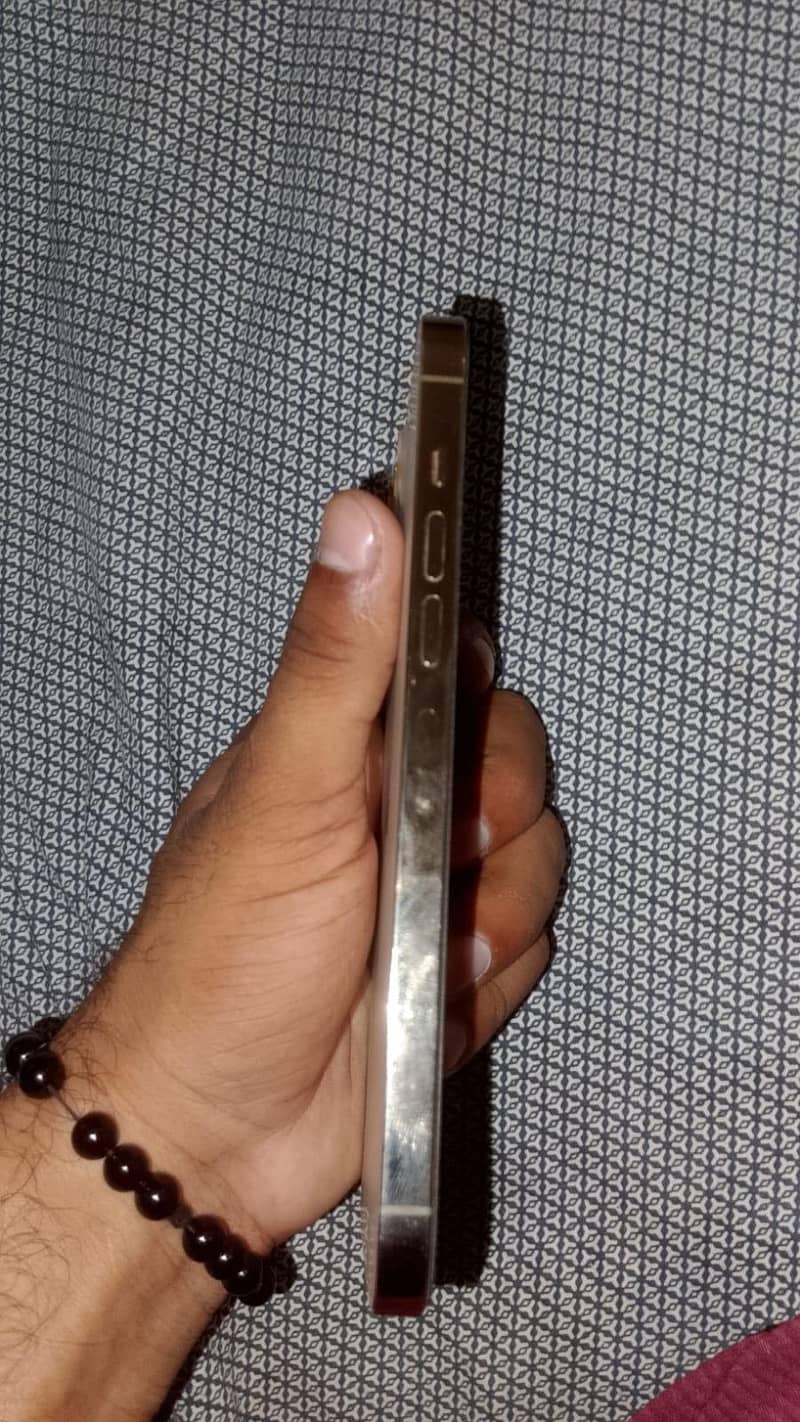 Apple iPhone 13 Pro Max 2