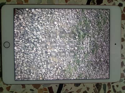 Apple iPad Mini 5 64GB (Rose Gold)