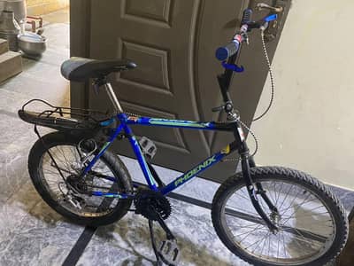 Phoenix cycle