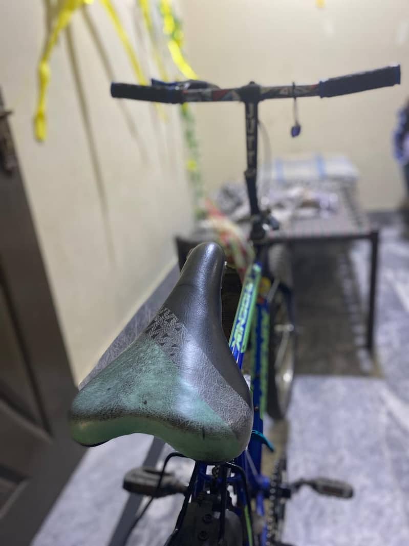 Phoenix cycle 4