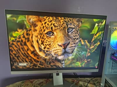 HP EliteDisplay E243i 24-inch IPS Monitor for Sale
