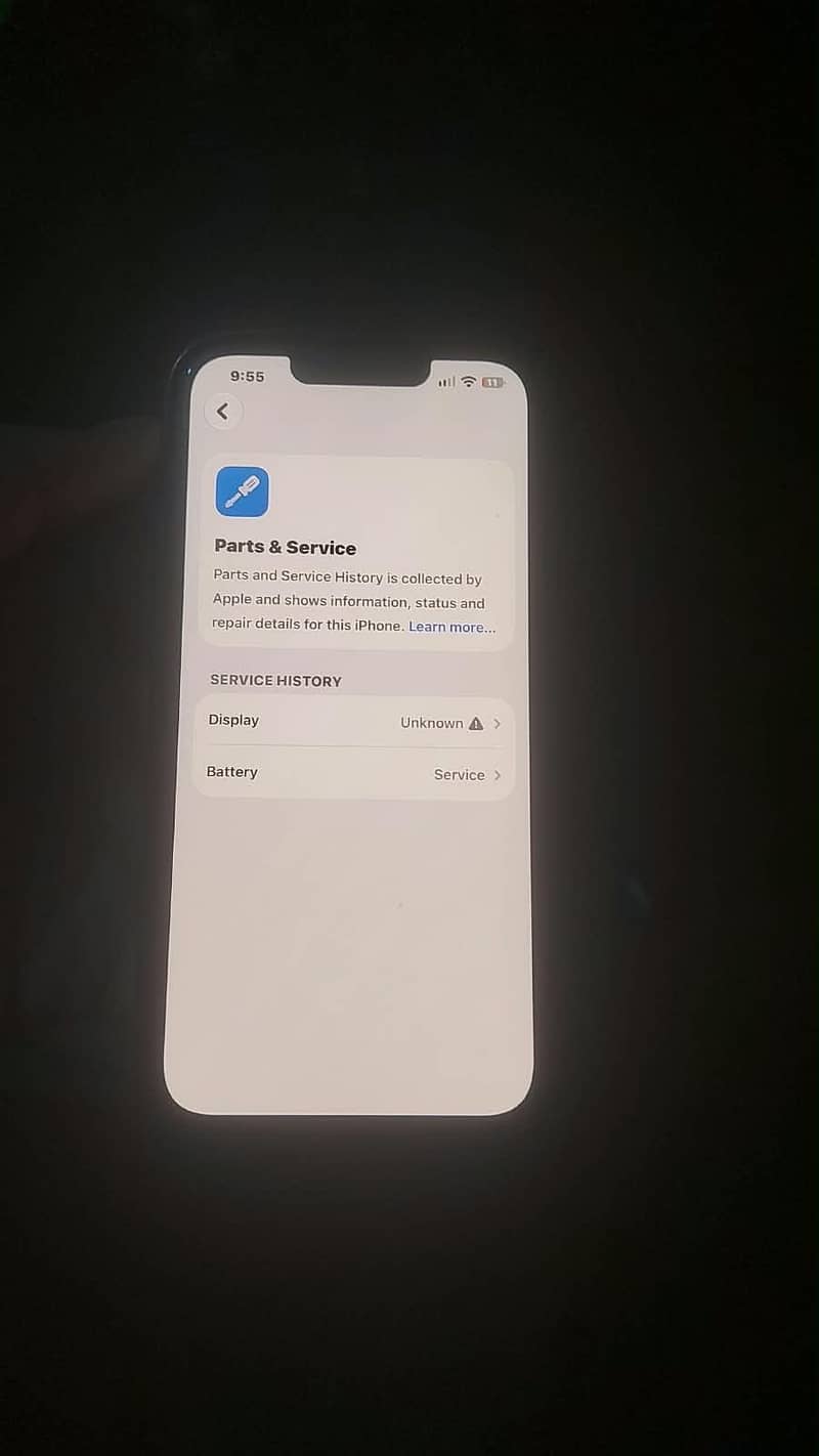 Apple iPhone 13 0