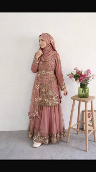 `Indian Nagin Style Pink Sharara - Fancy Party Wear -