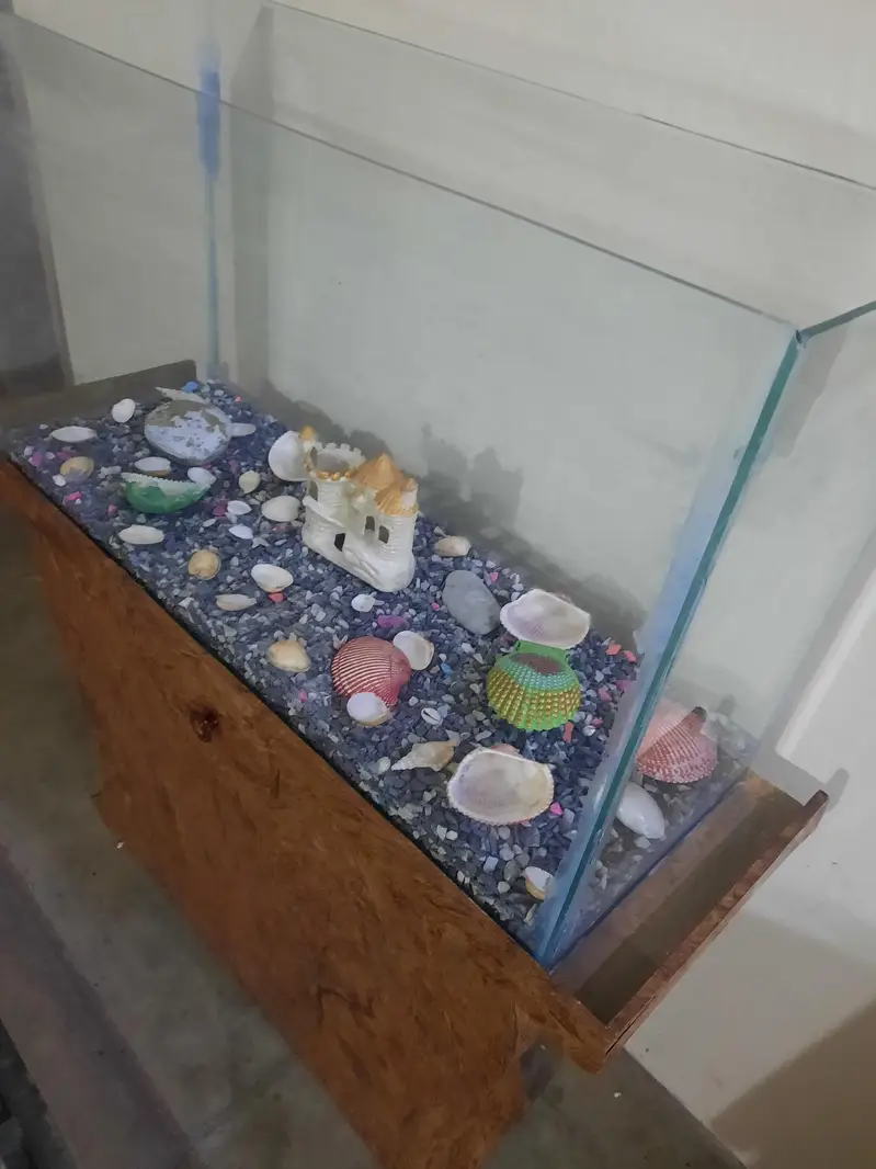 Fish aquarium in excellent condition — photo 2