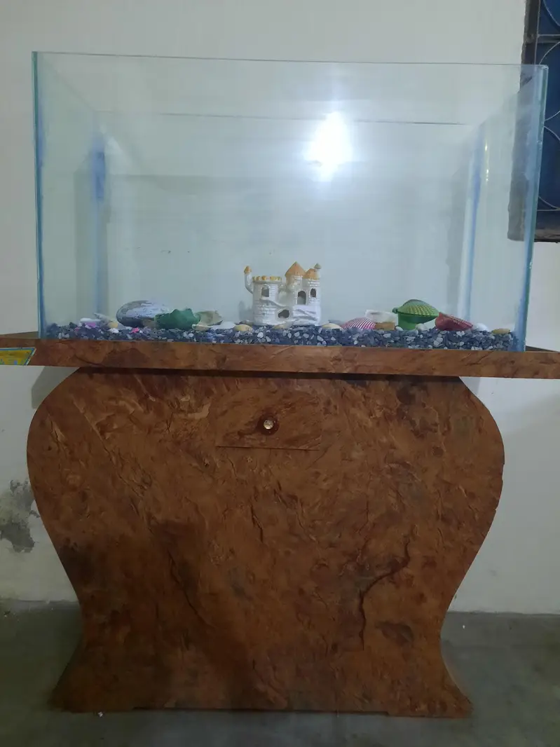 Fish aquarium in excellent condition — photo 3