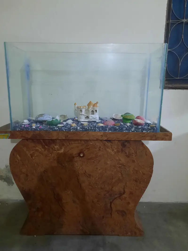 Fish aquarium in excellent condition — photo 4