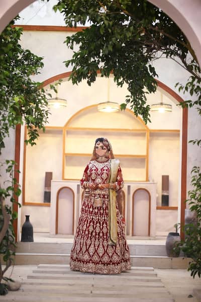 Bridal lehenga / heavy embroidery  wedding dress /bridal wear