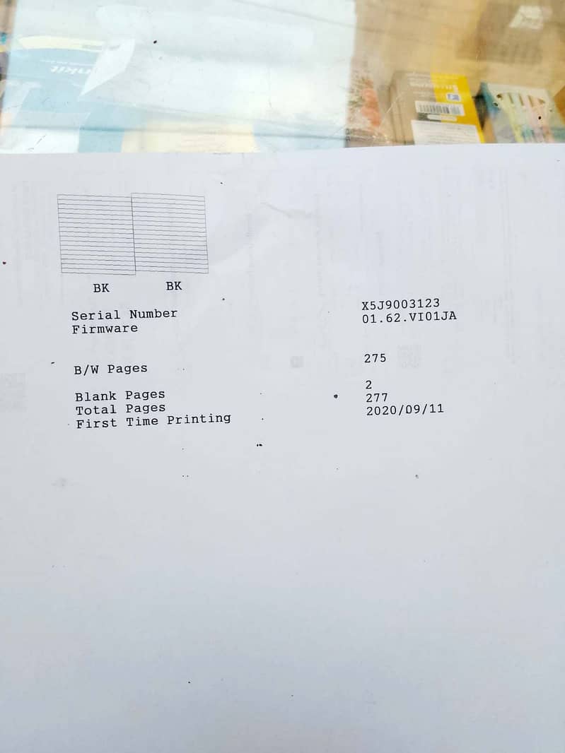 Epson Printer 6