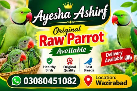 original Raw parrot