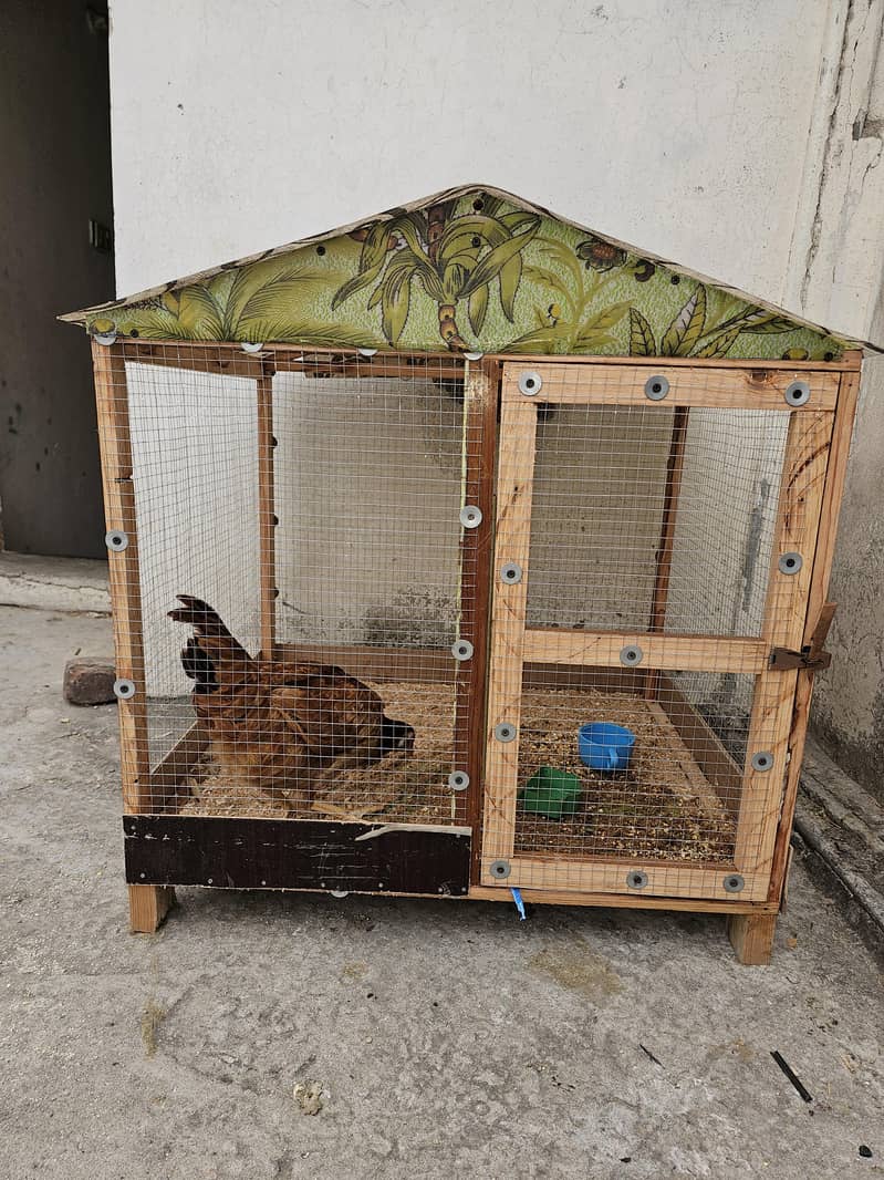 New cage 0
