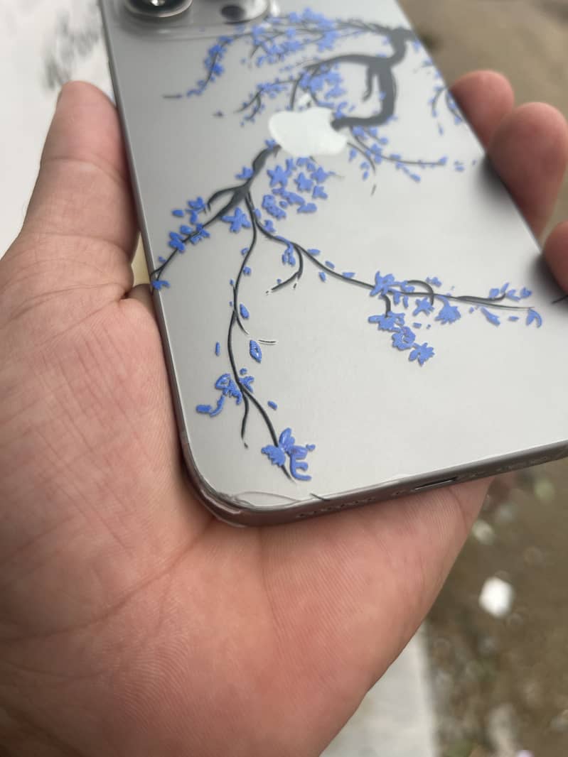 Apple iPhone 16 Pro Max 0