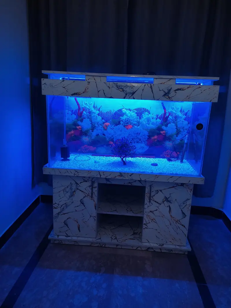 aquarium big size almost new with complete set up — photo 4