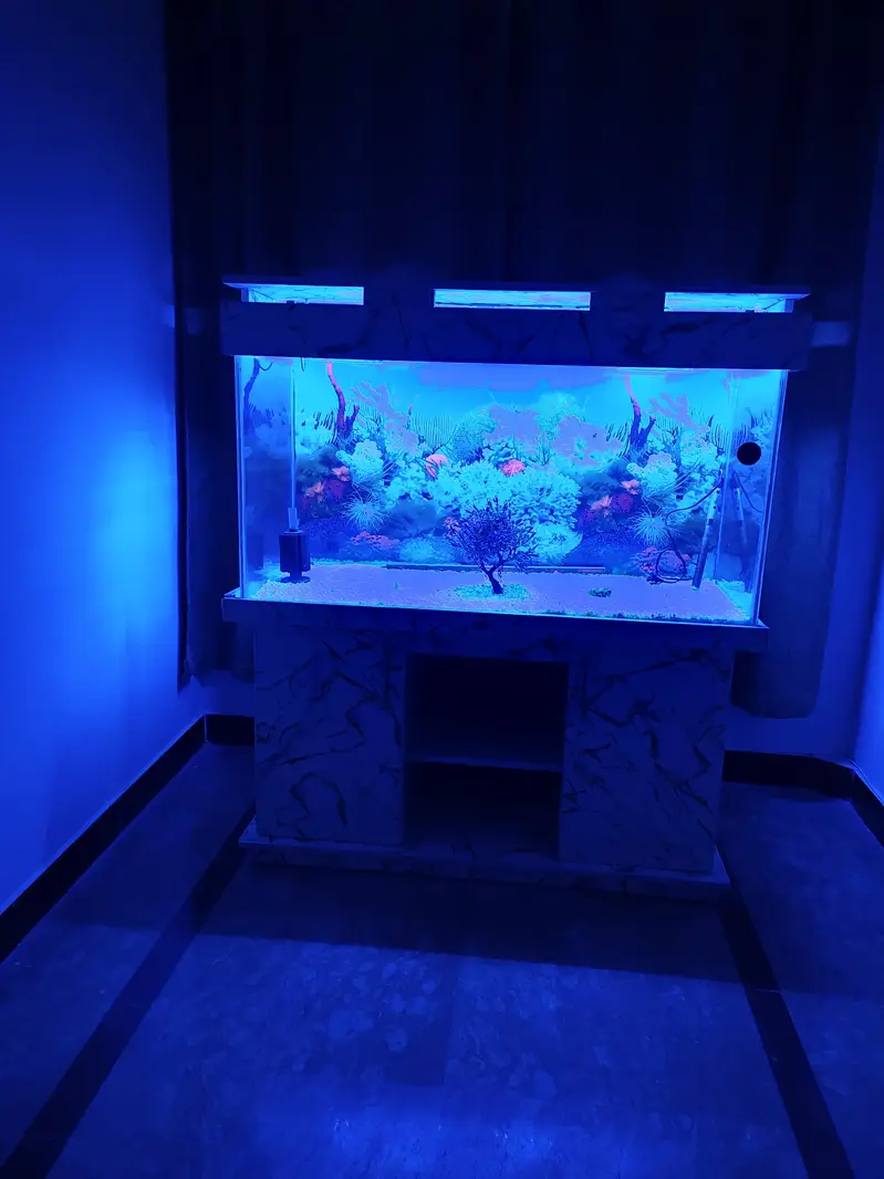 aquarium big size almost new with complete set up — photo 5