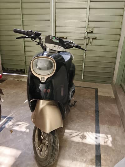 evee Nisa 2024 model
