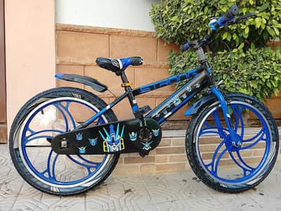 Strong imported Cycle - 20 size - 0320/2257/271