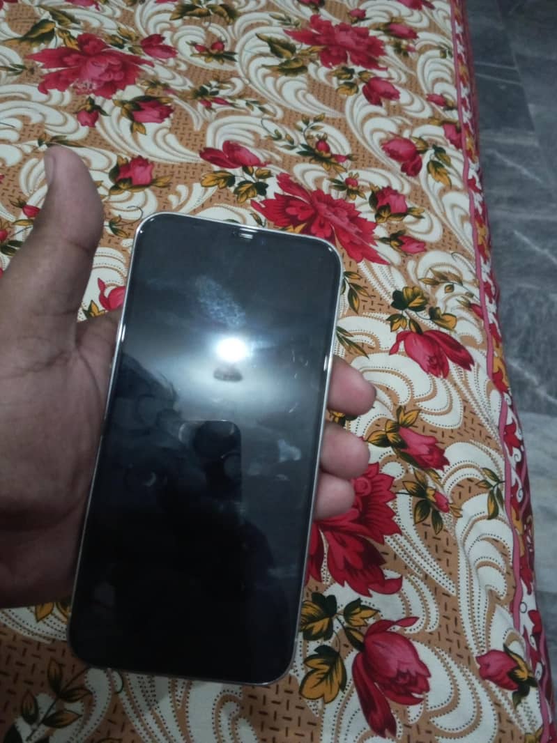 Apple iPhone 12 Pro Max 2