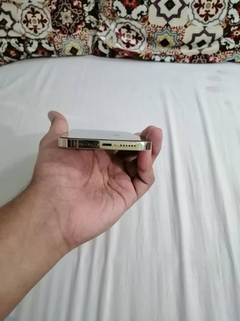 Apple iPhone 12 Pro Max 2