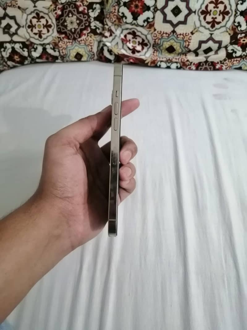 Apple iPhone 12 Pro Max 3