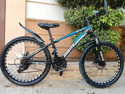 QIQITE Imported Cycle - 24 size - 0320/2257/271