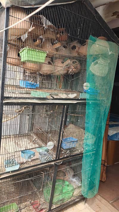 Heavy Angles ka Cage