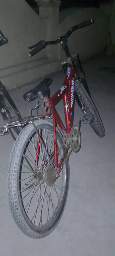 two cycle