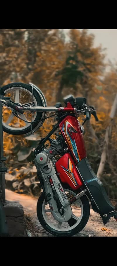 Honda 125 2019model good condition swat mingora