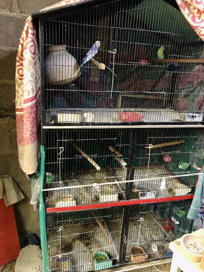 Cages for sale