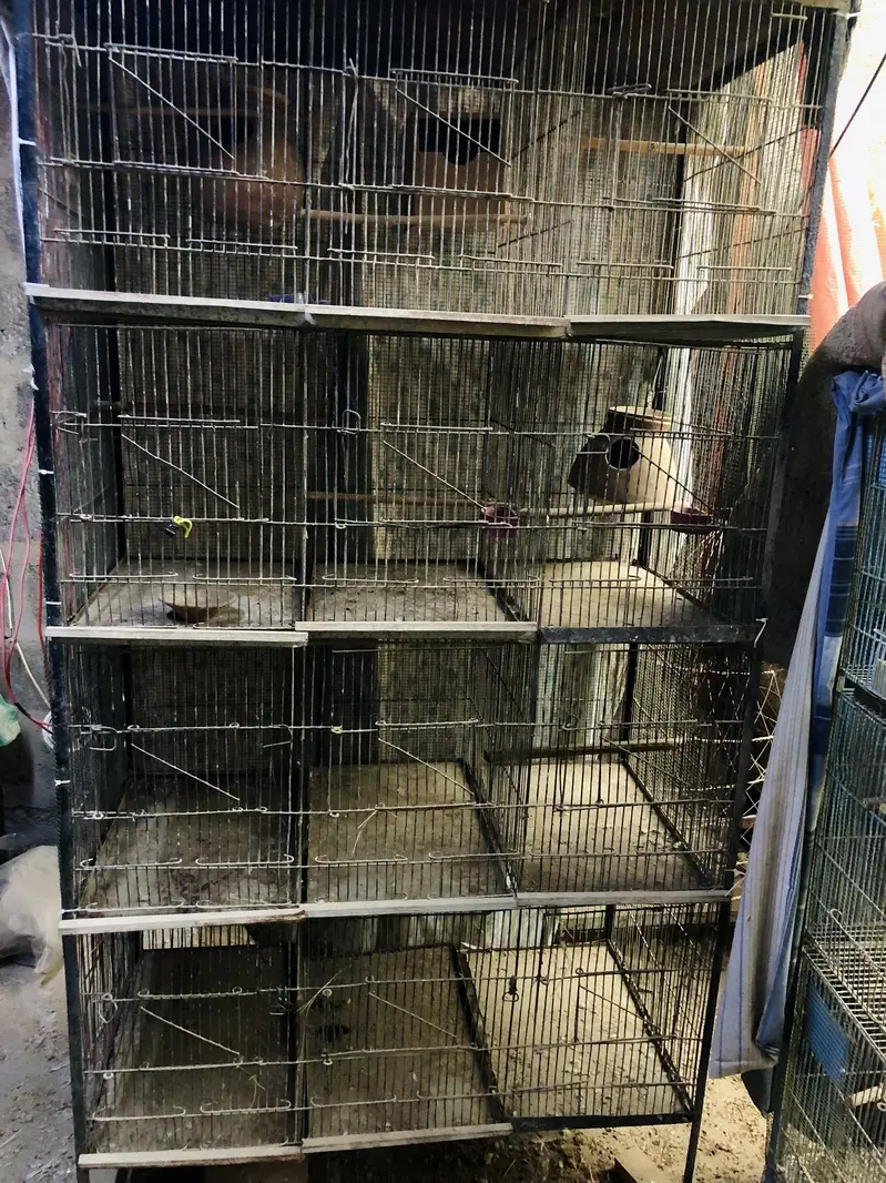 Cages for sale — photo 2