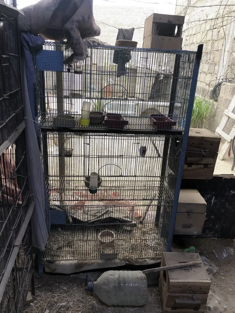 Cages for sale — photo 3