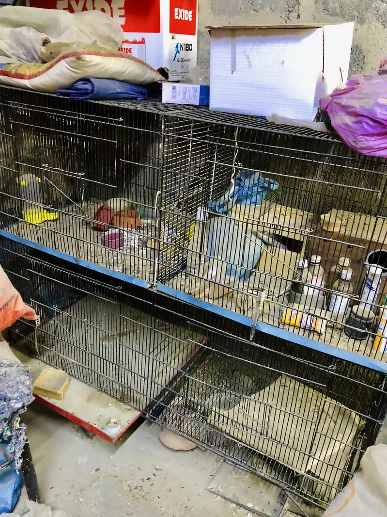 Cages for sale — photo 4