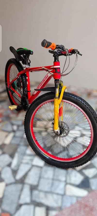 Mountain bicycle for sale