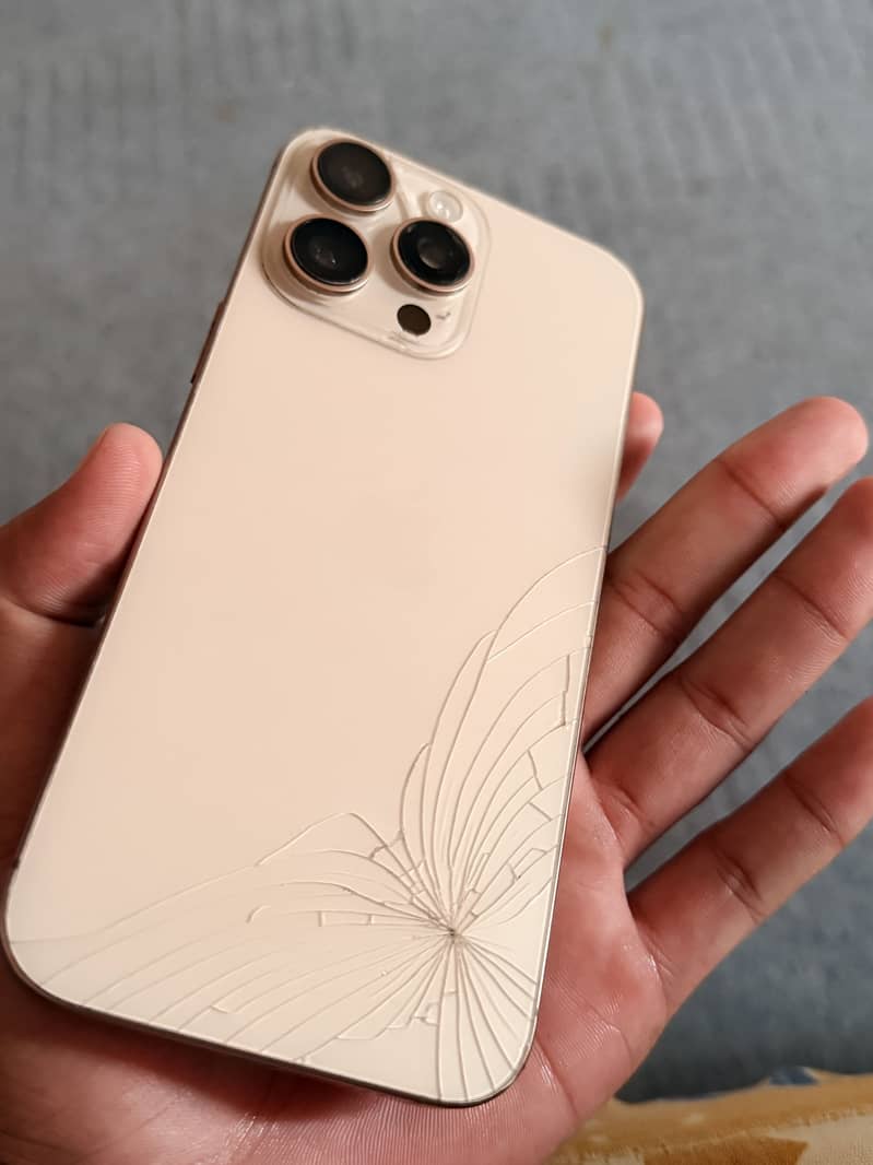 Apple iPhone 16 Pro Max 1