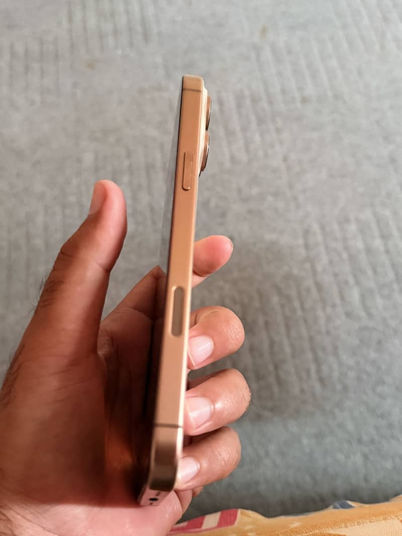 Apple iPhone 16 Pro Max 4