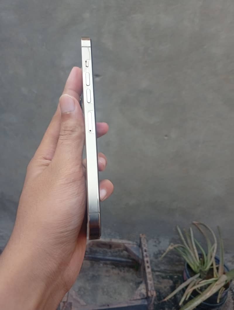 Apple iPhone 13 Pro Max 1