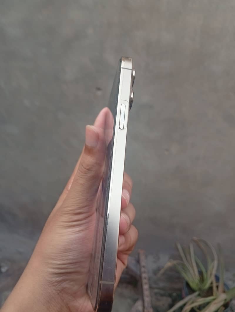 Apple iPhone 13 Pro Max 4