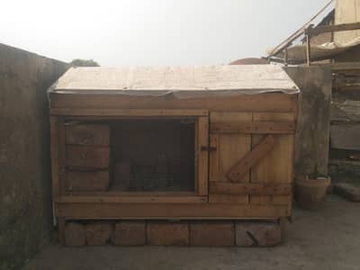 Hens and pegien cages