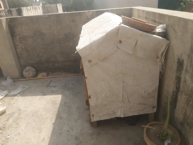 Hens and pegien cages — photo 3