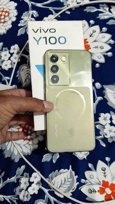 Vivo Y100 8+8 256