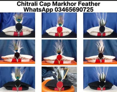 Chitrali Cap Markhor Feather