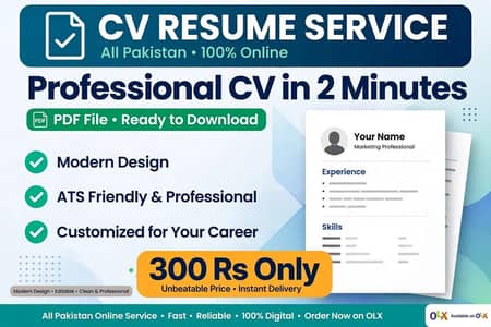 Professional CV 2 Minute Me PDF