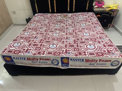 Molty foam king size 8 inches used