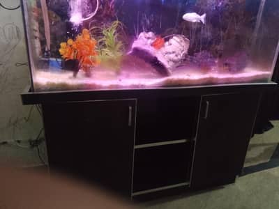 Aquarium