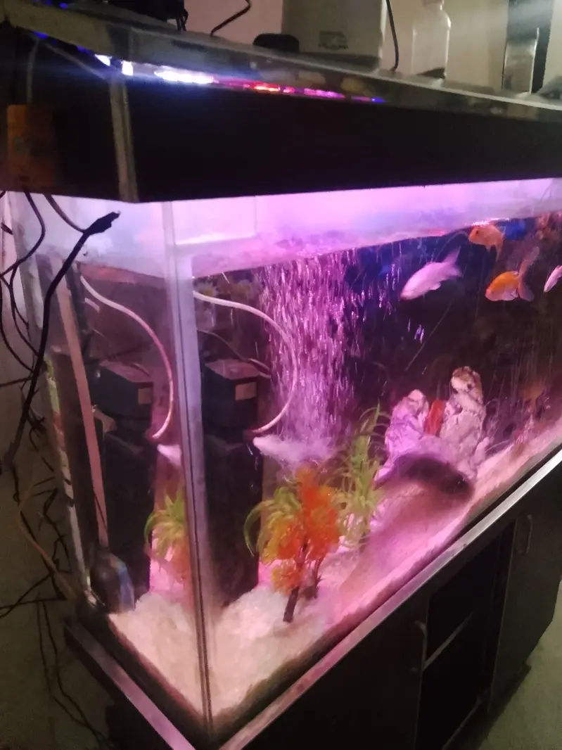 Aquarium — photo 2