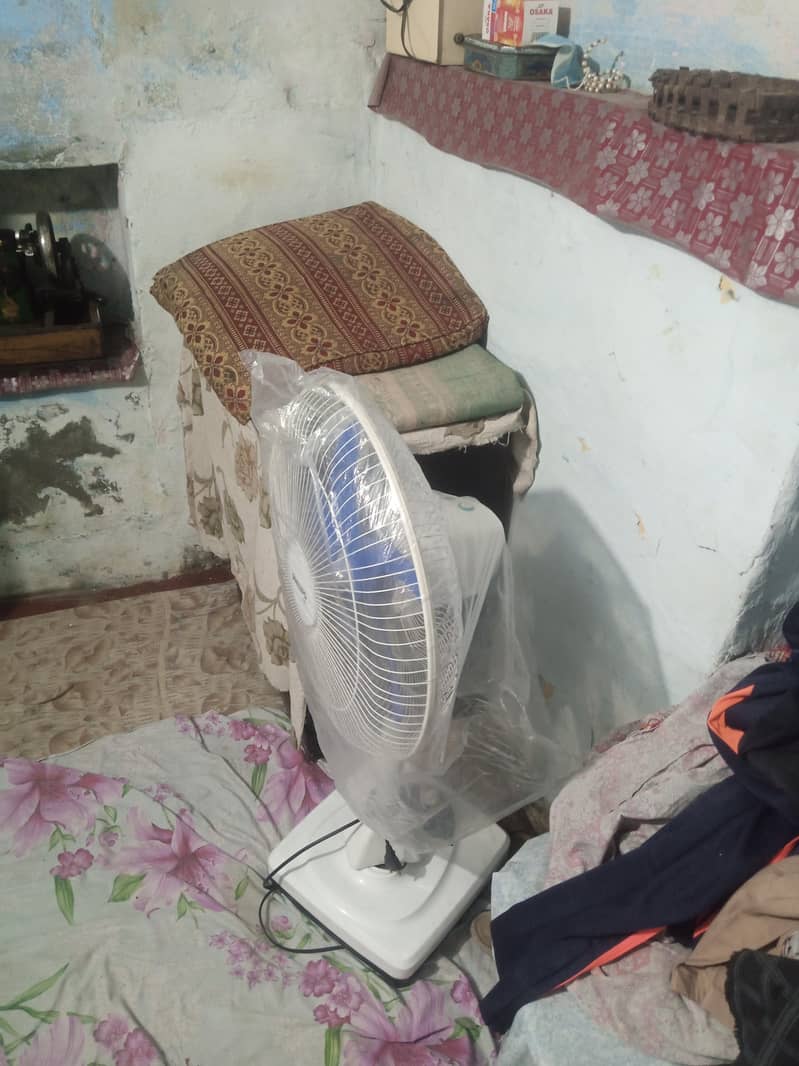 Philips fan new 1