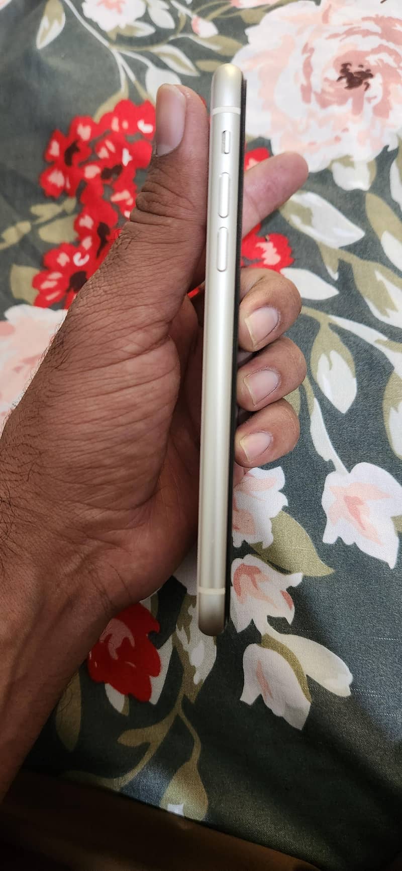 Apple iPhone 11 3