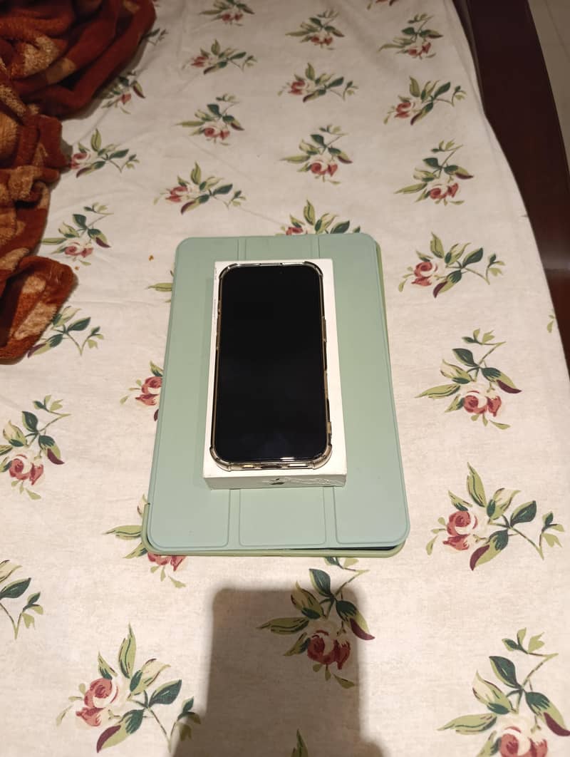 Apple iPhone 17 1