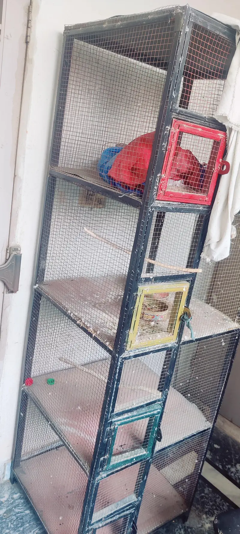 Home made Solid Iron Cage — photo 2