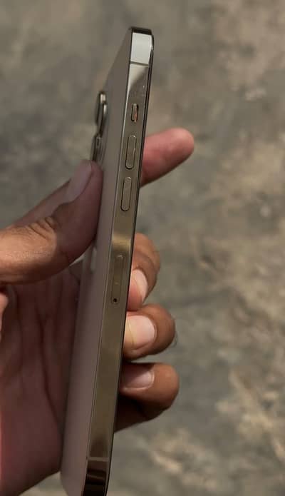 Apple iPhone 12 Pro Max dual pta approved