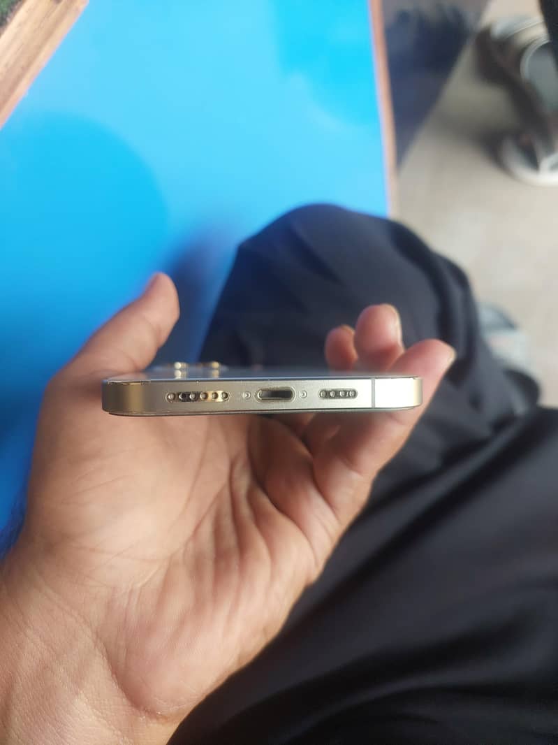 Apple iPhone 12 Pro Max 1