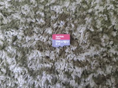 Original 256GB SanDisk Ultra SD card